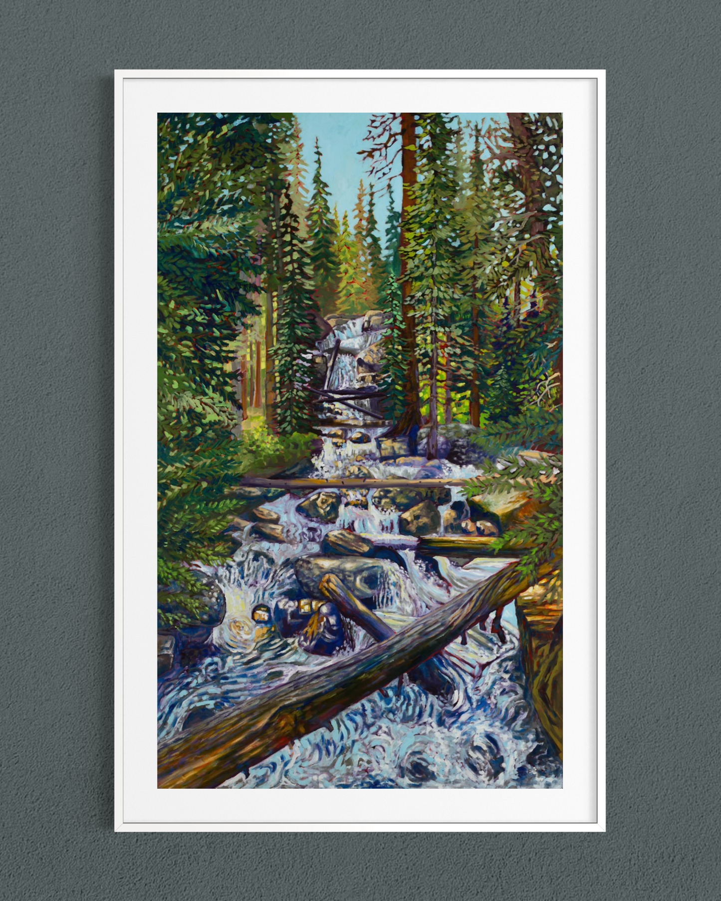 Wild Basin Waterfall — Fine Art Paper Print
