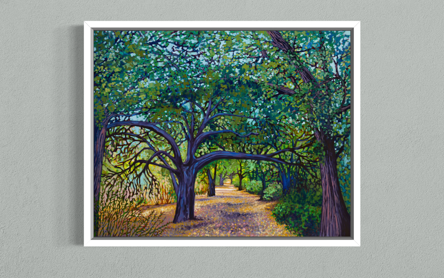 Malibu Creek Live Oaks — Canvas Print
