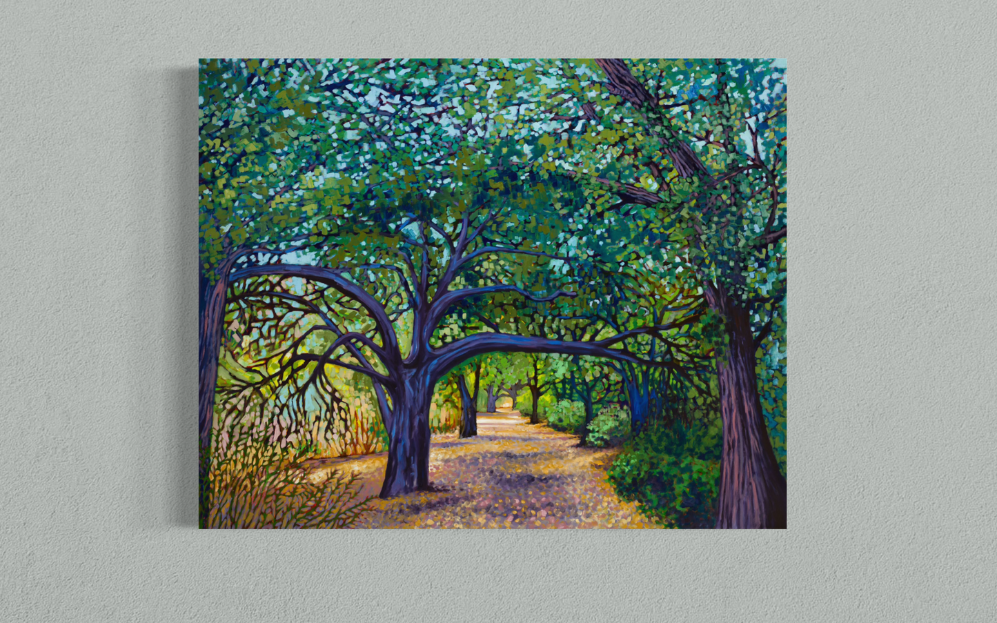 Malibu Creek Live Oaks — Canvas Print
