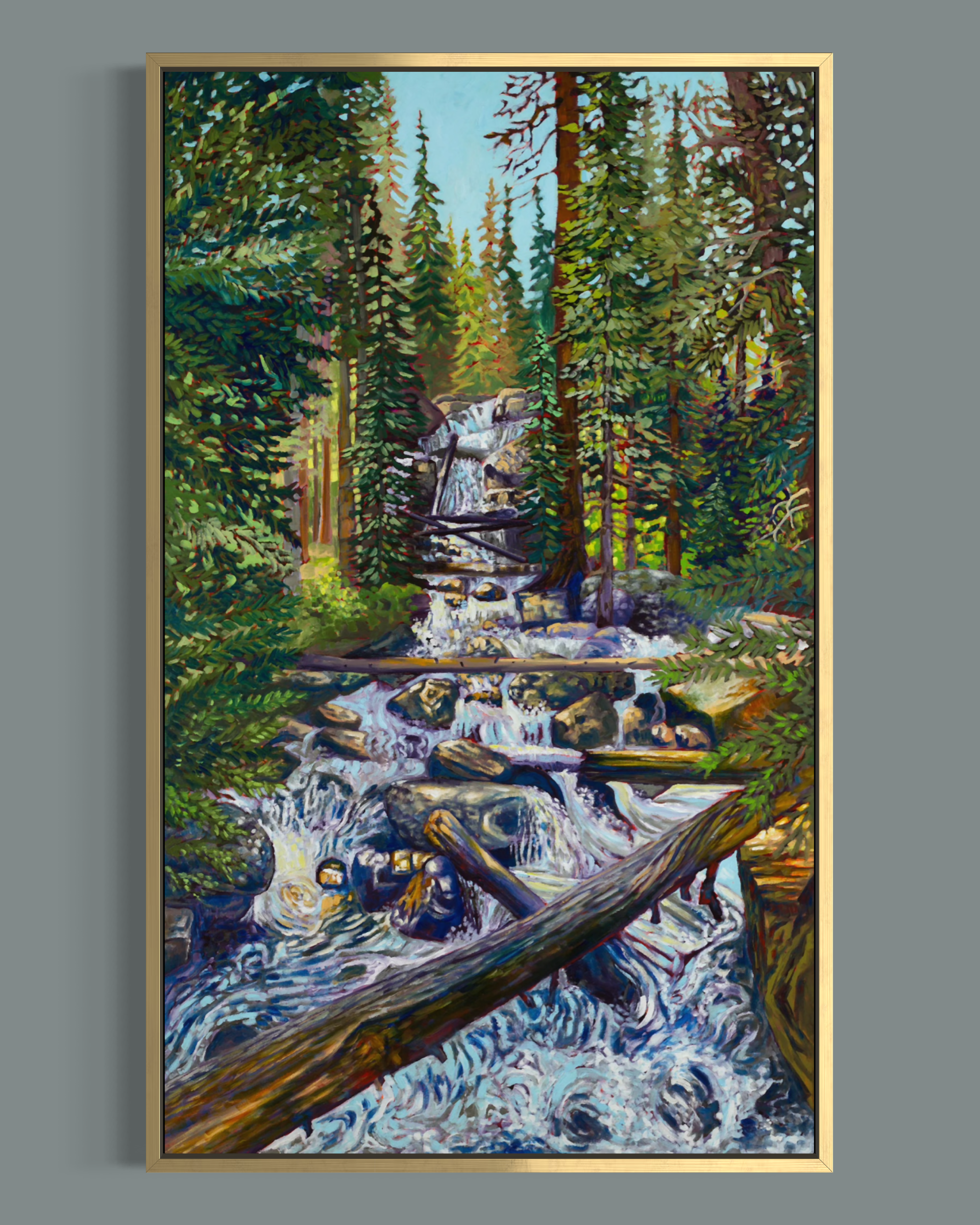 Wild Basin Waterfall canvas print in gold float frame
