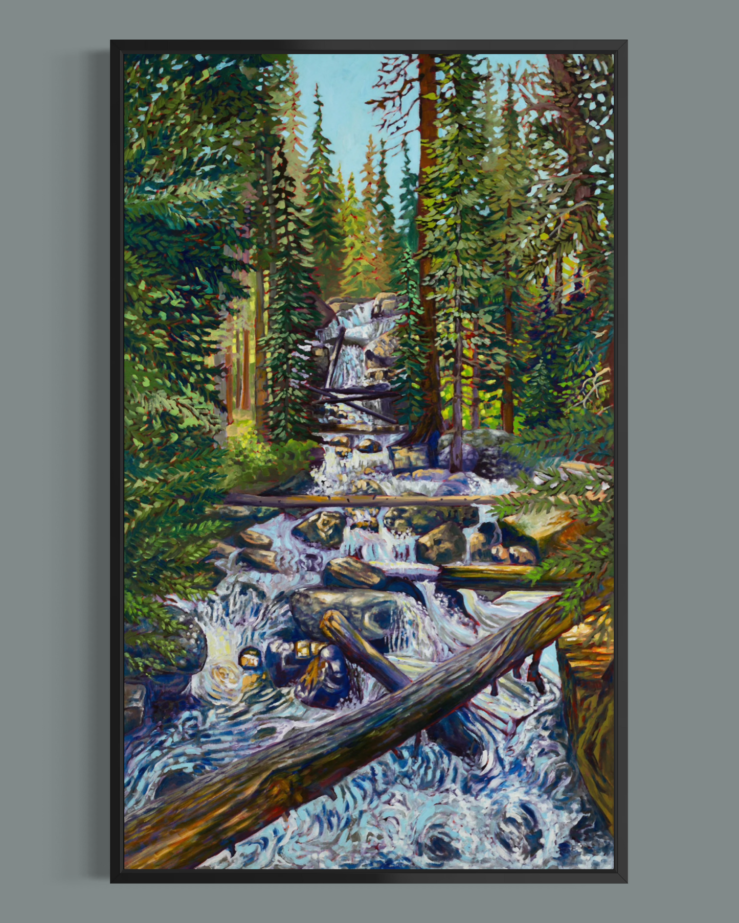 Wild Basin Waterfall — Canvas Print