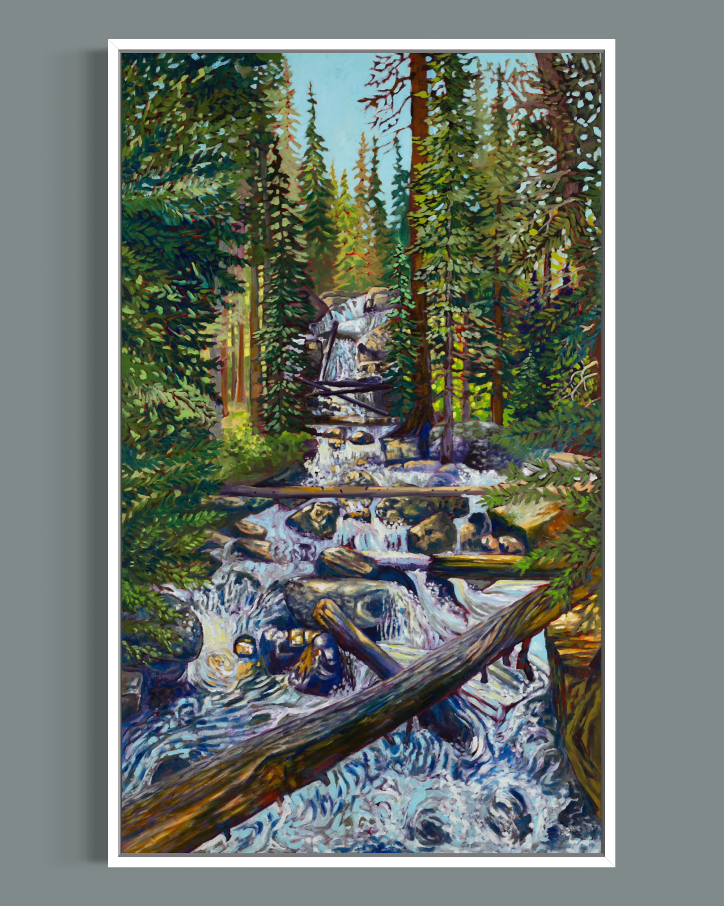 Wild Basin Waterfall — Canvas Print