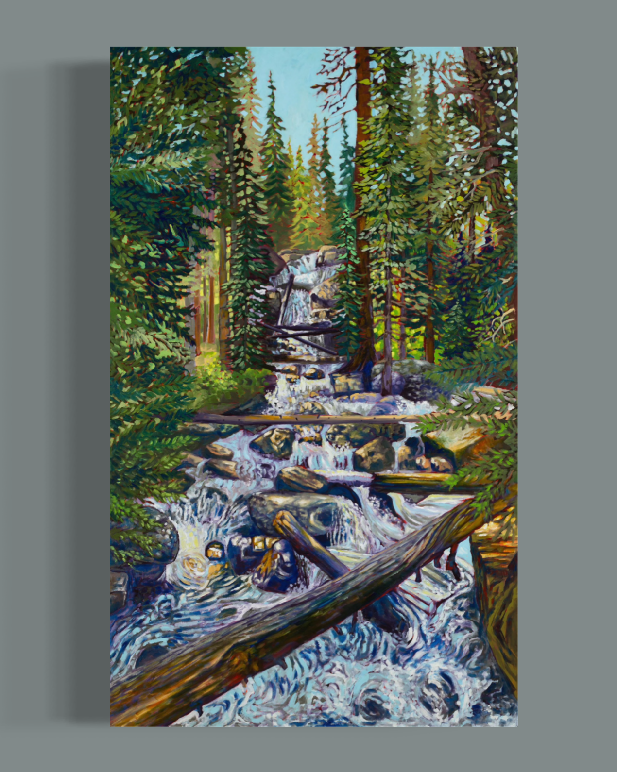 Wild Basin Waterfall — Canvas Print