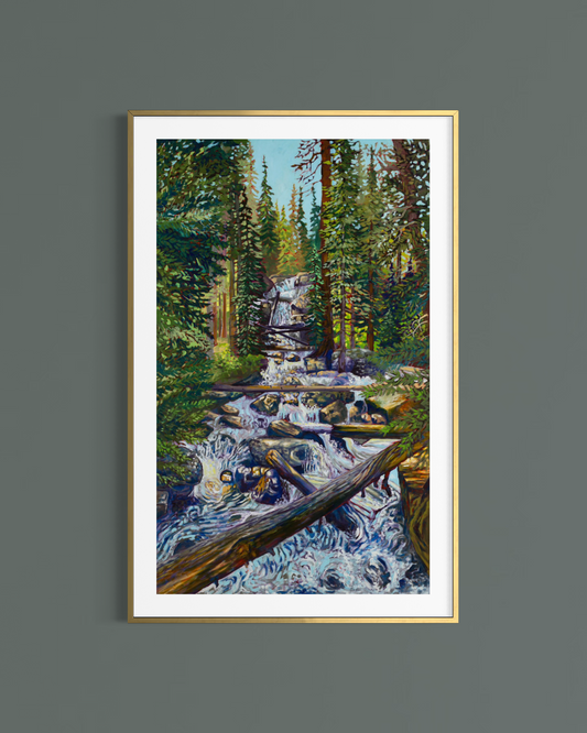 Wild Basin Waterfall — Fine Art Paper Print