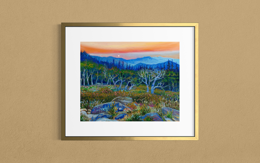 Mt. Evans Sunrise — Fine Art Paper Print