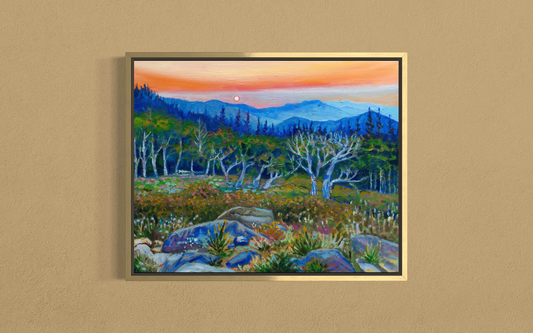 Mt. Evans Sunrise — Canvas Print