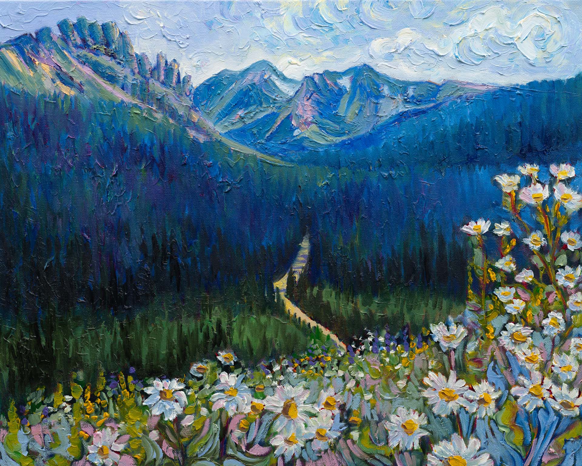 Cameron's Pass — Canvas Print