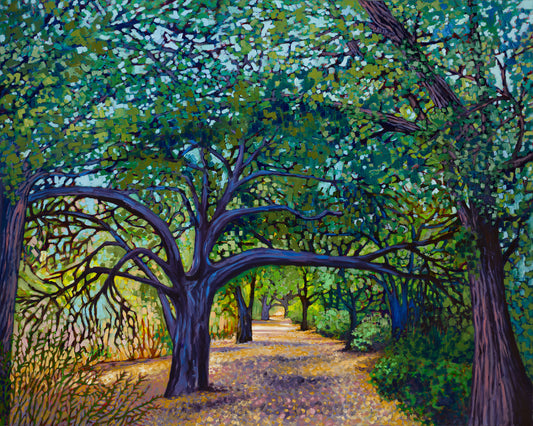 Malibu Creek Live Oaks - Original