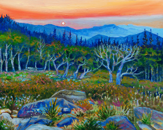 Mount Blue Sky Sunrise - Original