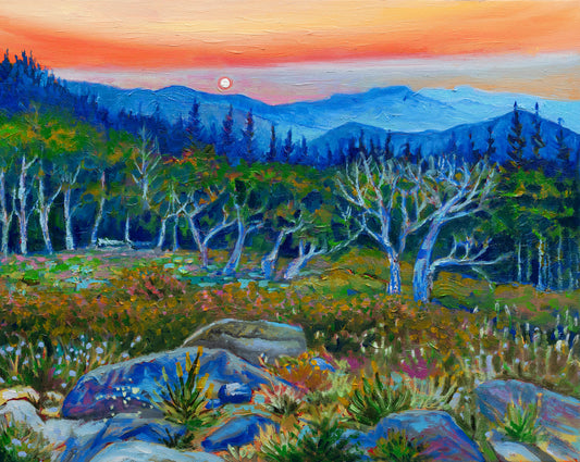 Mt. Evans Sunrise — Canvas Print